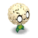 Pissenlit Diabolique