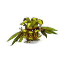 Silf le Rasboul Majeur