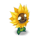 Tournesol Sauvage
