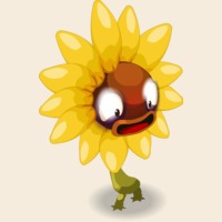 Tournesol Sauvage